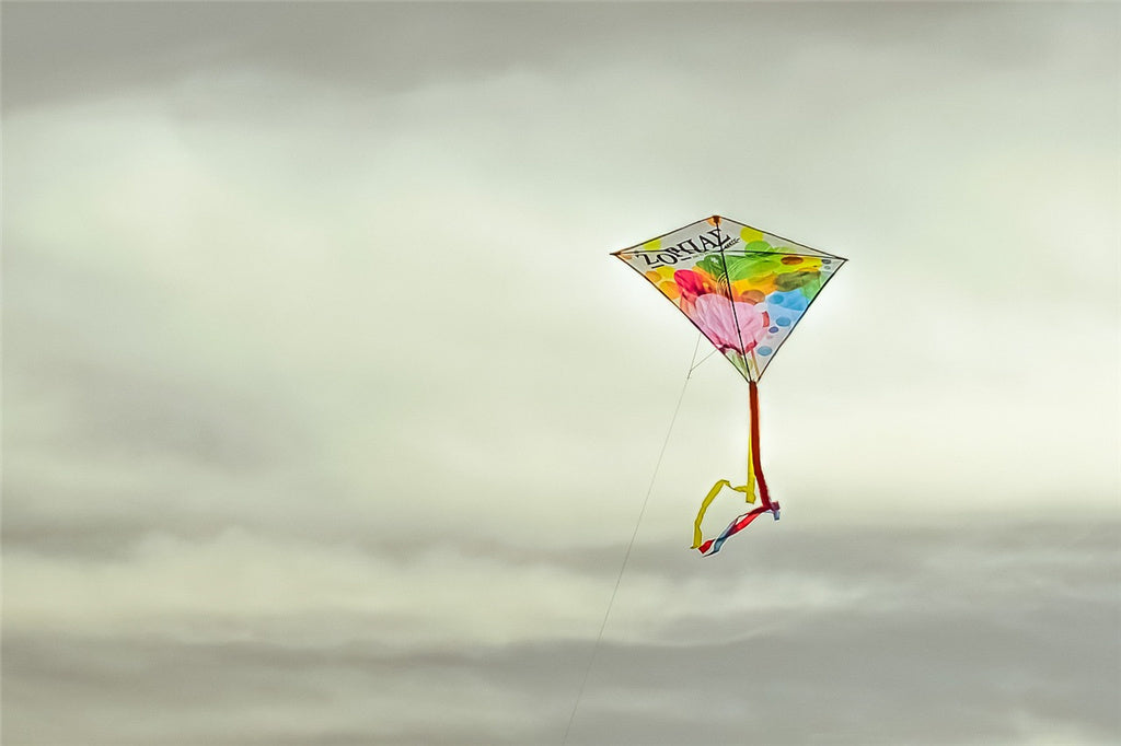 The Joy of Flying Kites with Your Kids